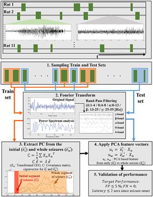 Early Seizure Detection by Applying Frequency-Based Algorithm Derived from the Principal Component Analysis